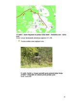 Referāts 'Velomaršruts Pārgaujas novadā', 65.