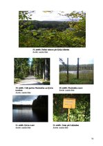 Referāts 'Velomaršruts Pārgaujas novadā', 78.