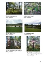 Referāts 'Velomaršruts Pārgaujas novadā', 79.