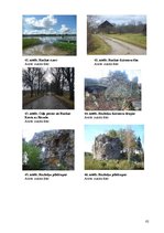 Referāts 'Velomaršruts Pārgaujas novadā', 82.