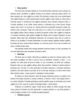 Paraugs 'Biznesa idejas apraksts', 1.