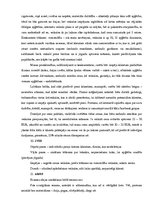 Paraugs 'Biznesa idejas apraksts', 4.