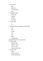 Paraugs 'Biznesa idejas apraksts', 8.