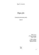 Referāts 'Rīgas pils', 1.