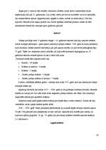 Referāts 'Rīgas pils', 17.