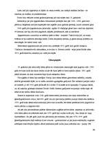 Referāts 'Rīgas pils', 18.