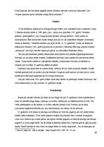 Referāts 'Rīgas pils', 19.