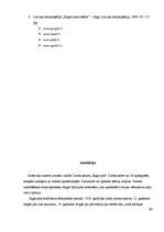 Referāts 'Rīgas pils', 25.