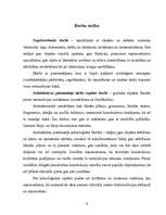 Referāts 'Arhitektūras pieminekļu restaurācijas tehniskie risinājumi', 8.