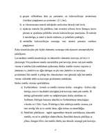 Referāts 'Arhitektūras pieminekļu restaurācijas tehniskie risinājumi', 15.