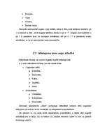 Referāts 'Lauksaimniecības uzņēmuma "Arkls" ražošanas attīstība', 14.