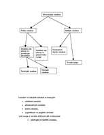 Referāts 'Lauksaimniecības uzņēmuma "Arkls" ražošanas attīstība', 22.