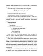 Referāts 'Lauksaimniecības uzņēmuma "Arkls" ražošanas attīstība', 28.