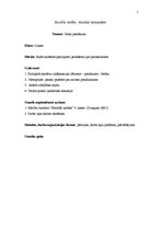 Konspekts 'Sociālo zinību stundas konspekts. Mani pienākumi', 1.