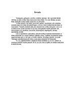 Referāts 'Ētiska domāšana uzņēmējdarbībā', 2.