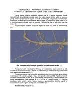 Konspekts 'Tauriņzieži - nozīmīgs augsnes auglības veidotājfaktors bioloģiskajā lauksaimnie', 1.