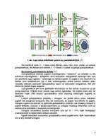 Konspekts 'Tauriņzieži - nozīmīgs augsnes auglības veidotājfaktors bioloģiskajā lauksaimnie', 3.