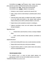 Prakses atskaite 'Darba organizācija un darba aizsardzība uzņēmumā', 8.