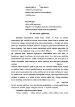 Prakses atskaite 'Darba organizācija un darba aizsardzība uzņēmumā', 19.