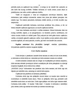 Prakses atskaite 'Darba organizācija un darba aizsardzība uzņēmumā', 23.