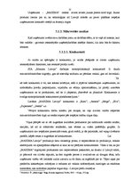 Prakses atskaite 'Darba organizācija un darba aizsardzība uzņēmumā', 32.