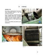 Prakses atskaite 'Atskaite no jūras prakses', 42.