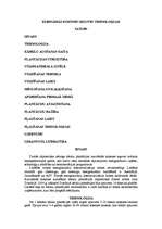 Referāts 'Kurināmās koksnes ieguves tehnoloģijas', 1.