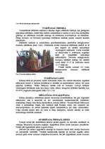 Referāts 'Kurināmās koksnes ieguves tehnoloģijas', 5.