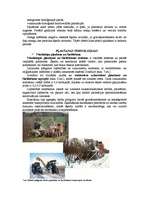 Referāts 'Kurināmās koksnes ieguves tehnoloģijas', 7.