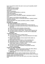 Konspekts 'Filosofija', 2.