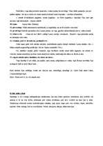 Konspekts 'Lauras tēla raksturojums R.Ezeras romānā "Aka"', 6.