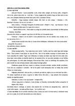 Konspekts 'Lauras tēla raksturojums R.Ezeras romānā "Aka"', 7.