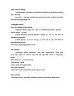 Referāts 'Slimības vēsture terapijā', 7.