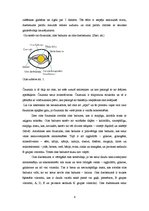 Referāts 'Ēdienu gatavošanai izmantojamās izejvielas', 4.