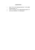 Referāts 'Mentorings', 4.