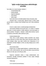 Referāts 'Spēļu teoriju izmantošanas sabiedrisko attiecību kampaņa', 1.