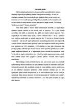 Referāts 'Spēļu teoriju izmantošanas sabiedrisko attiecību kampaņa', 5.