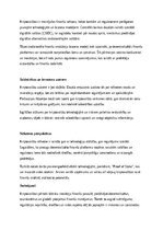 Eseja 'Kriptovalūtas – nākotnes finanšu instruments vai riskants eksperiments?', 3.