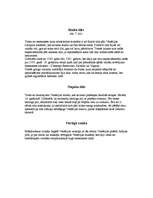 Referāts 'Renesanse un Venēcija', 11.