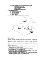 Konspekts 'Projektu vadīšana', 3.