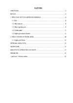 Referāts 'Plaisājošu papēžu veidošanās iemesli un profilakse', 3.