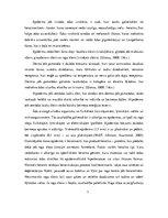 Referāts 'Plaisājošu papēžu veidošanās iemesli un profilakse', 7.