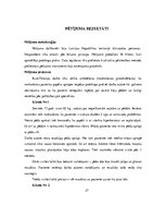 Referāts 'Plaisājošu papēžu veidošanās iemesli un profilakse', 27.