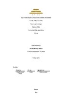 Eseja 'Inovatīvas idejas analīze', 1.