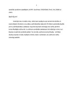 Eseja 'Inovatīvas idejas analīze', 5.