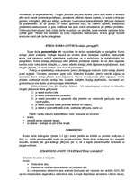 Referāts 'Prakses atskaites noformējums', 3.