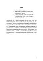 Konspekts 'Zemo cenu aviokompānijas un klasiskās aviokompānijas salīdzinājums', 3.