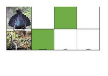 Konspekts 'Mednieku eksāmena biļetes ar pareizām atbildēm', 53.