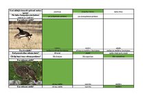Konspekts 'Mednieku eksāmena biļetes ar pareizām atbildēm', 54.