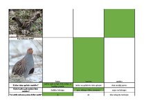 Konspekts 'Mednieku eksāmena biļetes ar pareizām atbildēm', 55.